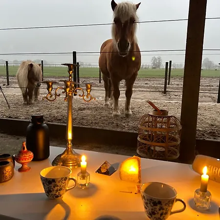 アパート Hoeve De Roskam