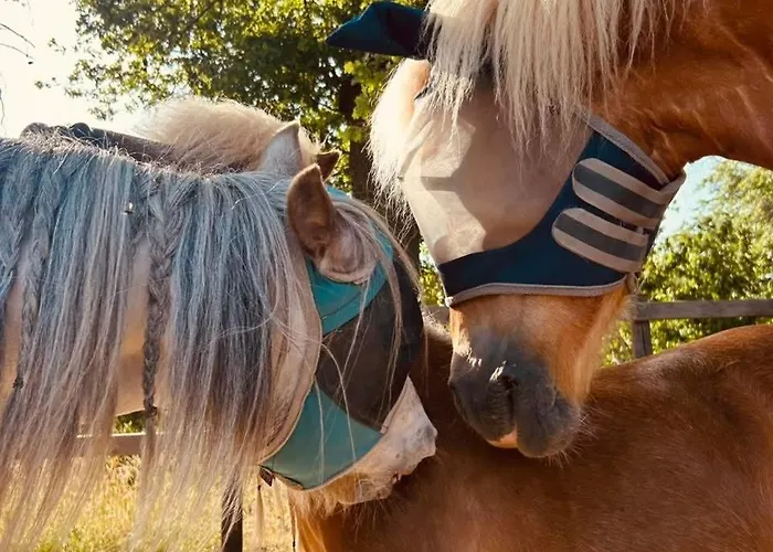 Appartement Hoeve De Roskam *