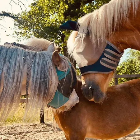 Appartement Hoeve De Roskam *
