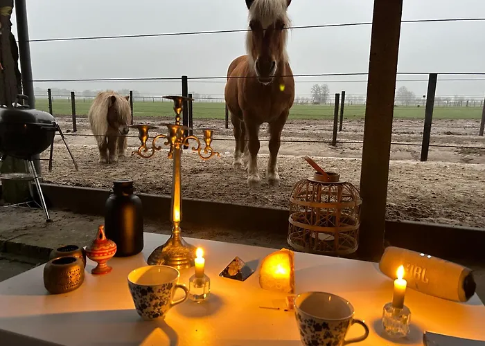 Lägenhet Hoeve De Roskam